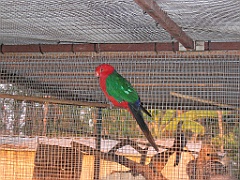 CairnsTC153 Granite Gorge